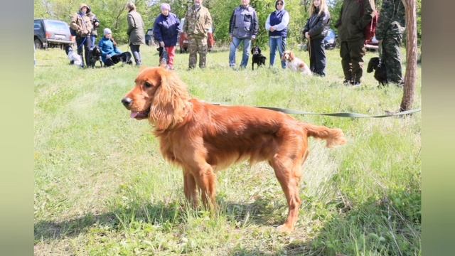 Встреча и выставка посвящённая ДНЮ ПОБЕДЫ.
