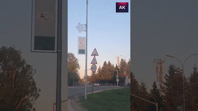 Алексеевское