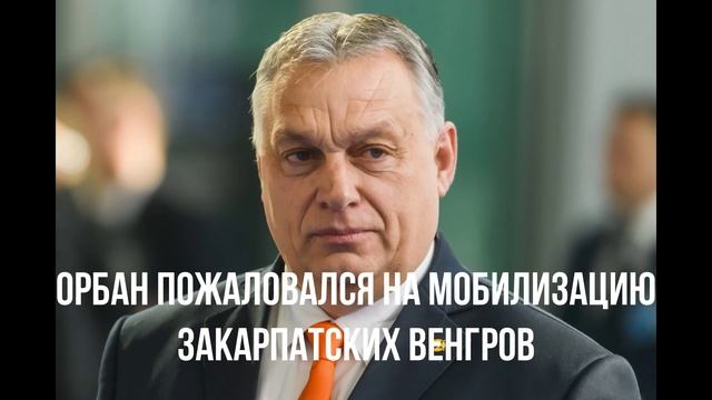 Одесса в России. Зеленский не может. Орбан про Венгров. Билет от Зеленского. Европейский лидер.