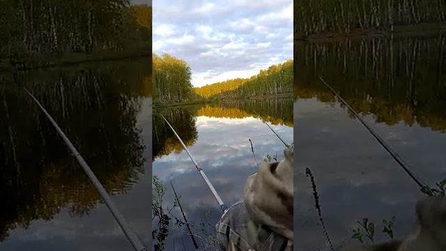 Рыбалка на озере