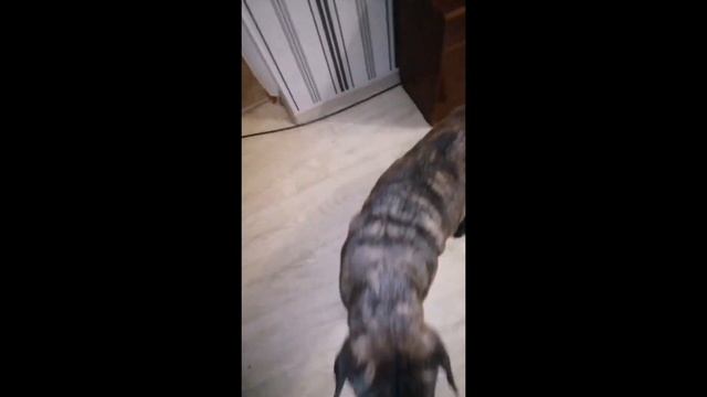 19.01.2023 Они приходят в нашу жизнь научить нас верить и любить, радоваться и доверять.