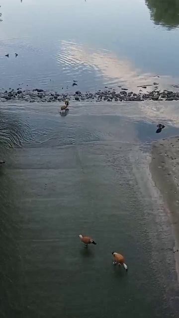 1000218928.mp4