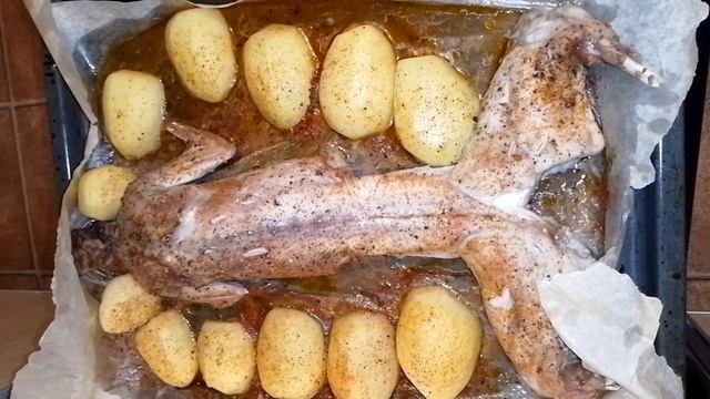 Кролик ТАПАКА. Готово.