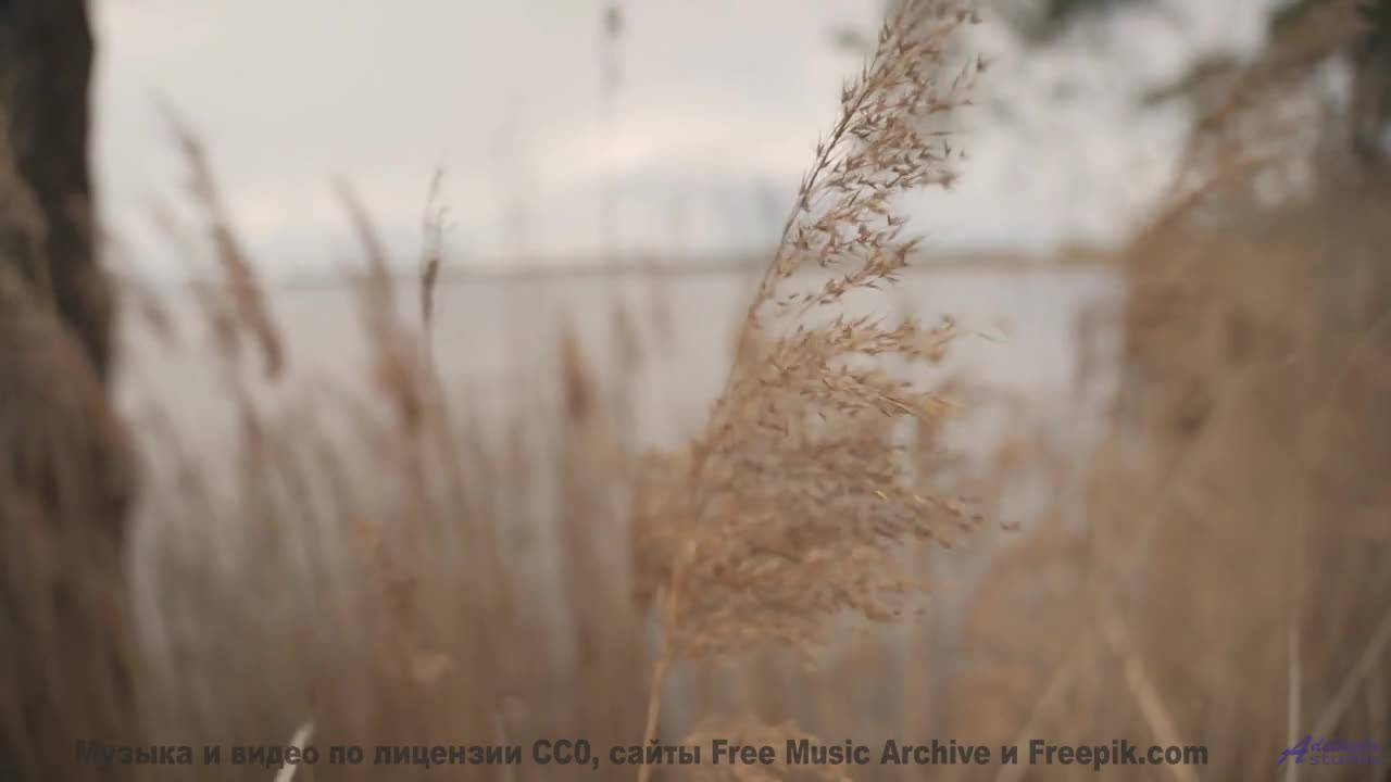 Эта мелодия заставит вас плакать от красоты - Disfraz (LIV) -- opo -- Estudios Indigeniformes