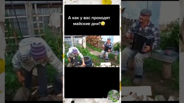 VID_20250518_030106_571.mp4