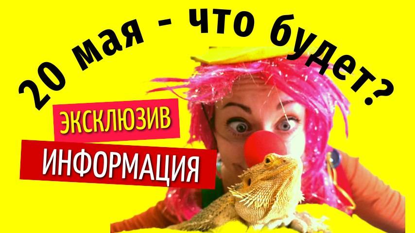 20 мая что будет