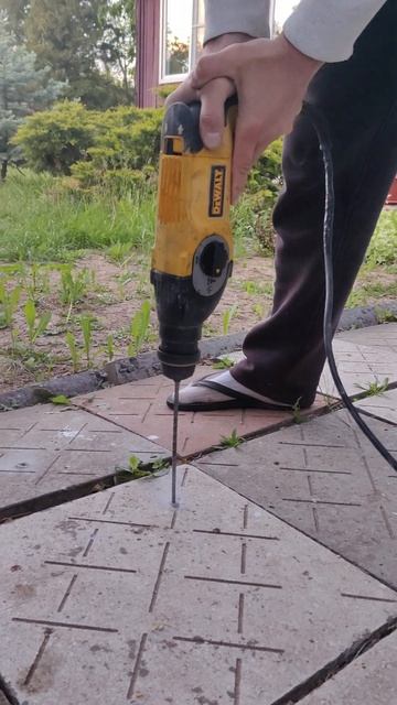 Перфоратор DeWALT D25123