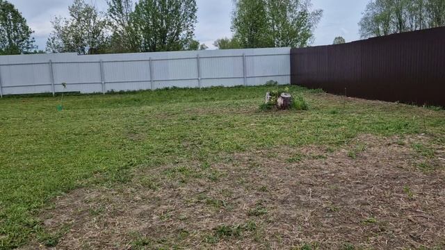 1000253783.mp4