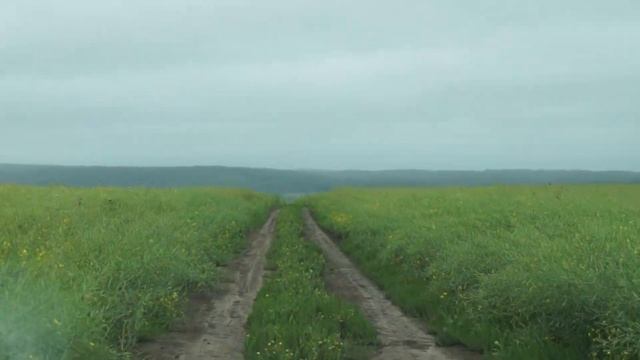 едем к горе Соколиный Камень! 14.08.21 Маслянино