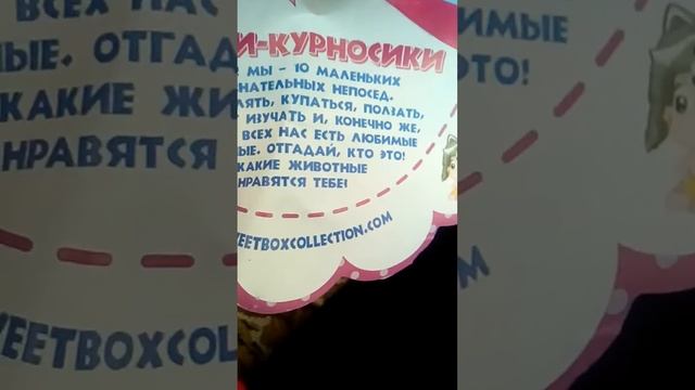 Свит бокс малыши