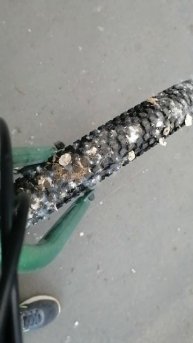 У меня самые чистые колеса