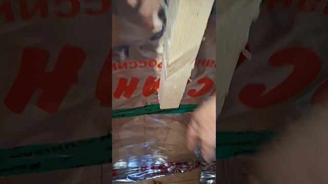 1000023987.mp4 (Собака смотрит на установку каркаса для имитации бруса внутри дома А-фрейм).
