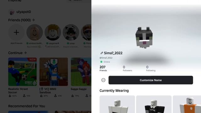 SVID_20250518_123910_1.mp4