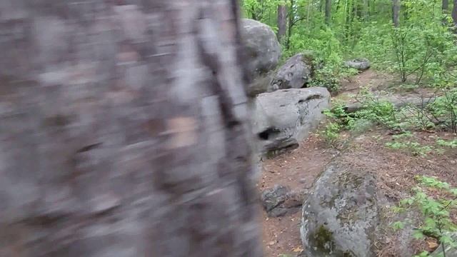 Жигулевские горы
