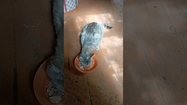1000019191.mp4