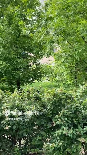 Цитаты. Простите и отпустите.