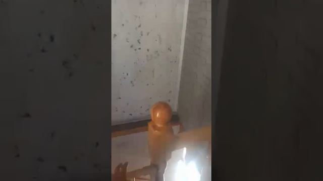 дом евпатория 2