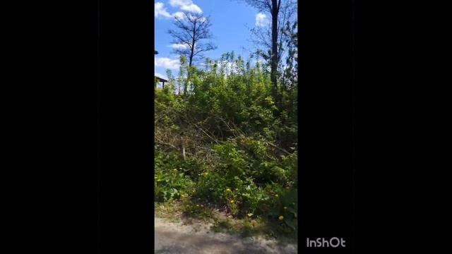 Дзержинск Совхозная 8(2)