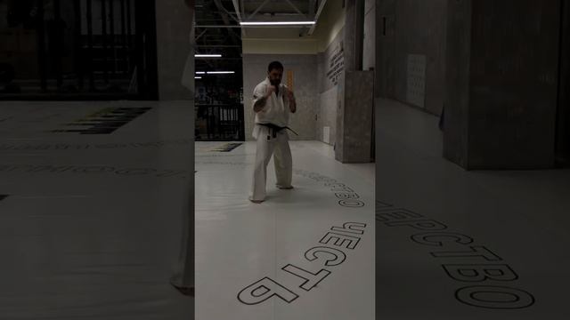 Базовые техники лоукик