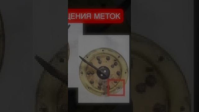 Черные ящики нашли  что они расскажут о трагедии?