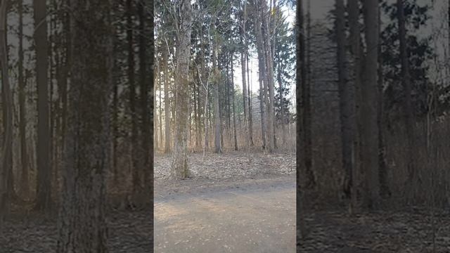 Мир Душ 8.mp4