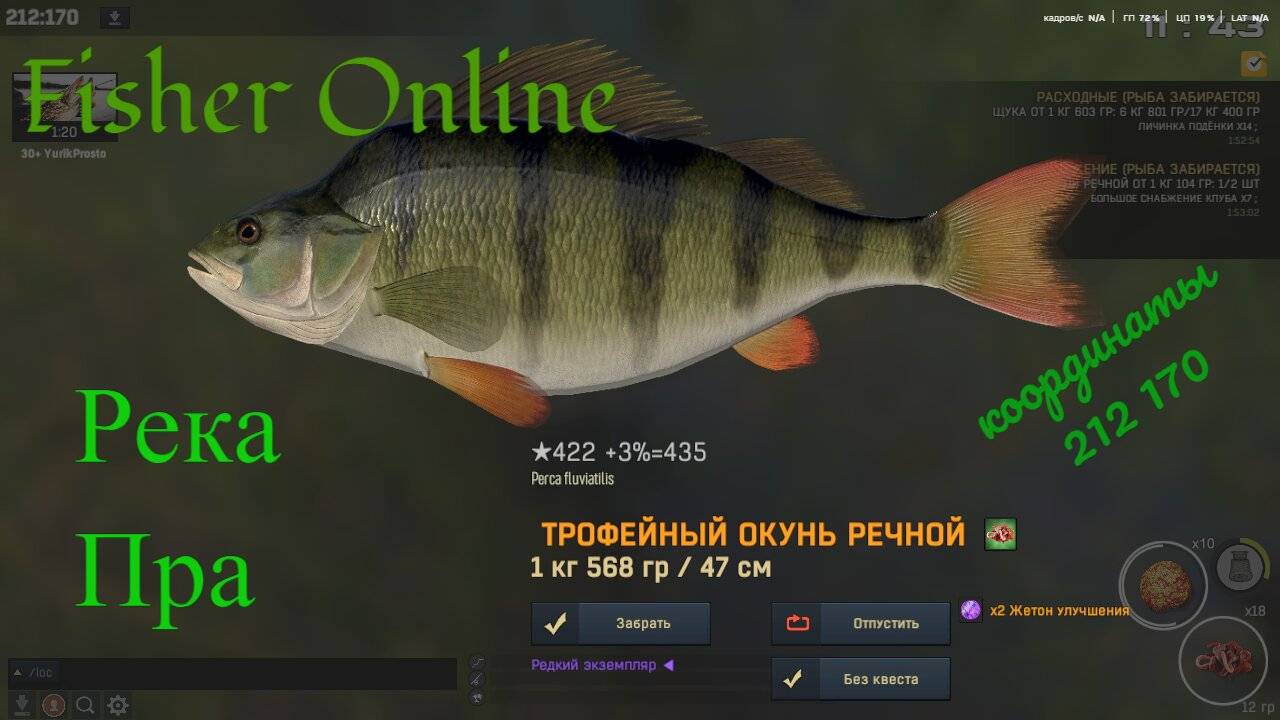 Fisher Online Река пра еще одно место ловли линя