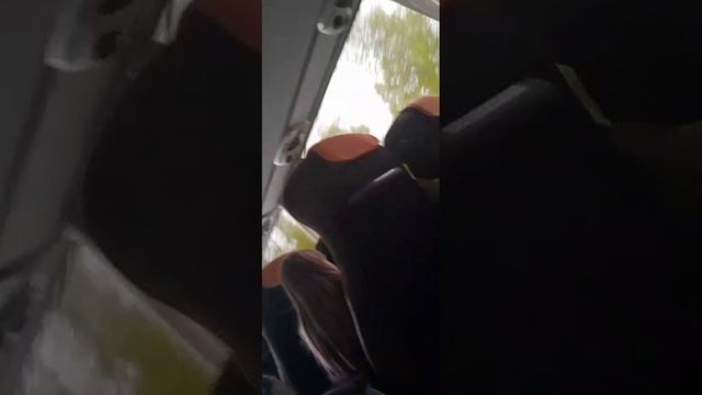 как мы выживаем в автобусе