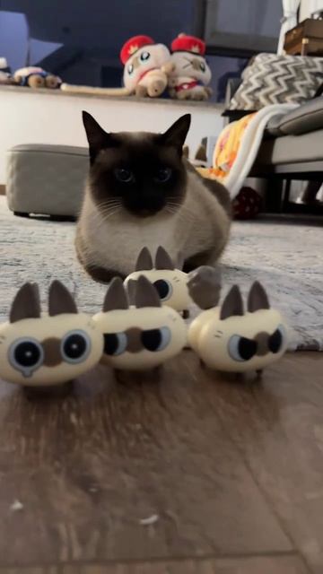 фанаты кошечки Маргошки