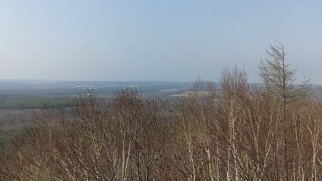 Как звучит тишина леса на вершине горы Лягушки