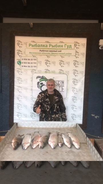 уловы рыбаков в Рыбин Гуде