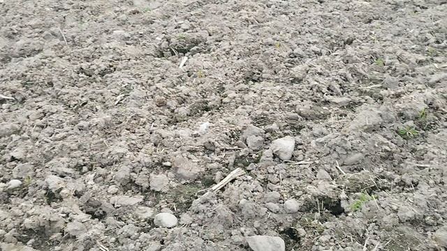 По следам разбойников ч.2