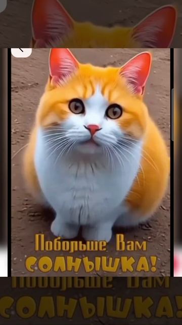 Доброе утро #доброеутро #благодарность