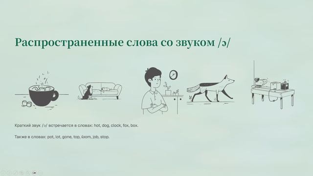 Lesson 5 Звуки /ɒ=ɔ/ и /ɔ:/ в английском языке.