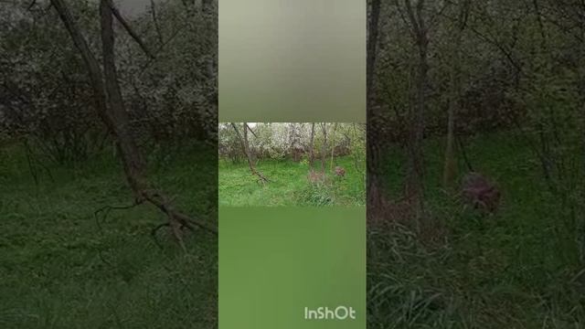 1000006175.mp4