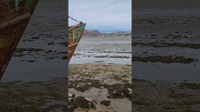 Прогулки по холодному морю.mp4