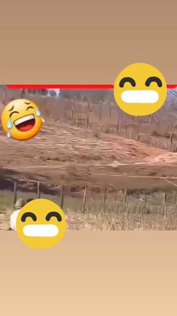 Рамазан катается с невестой.