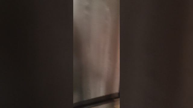 1000127249.mp4