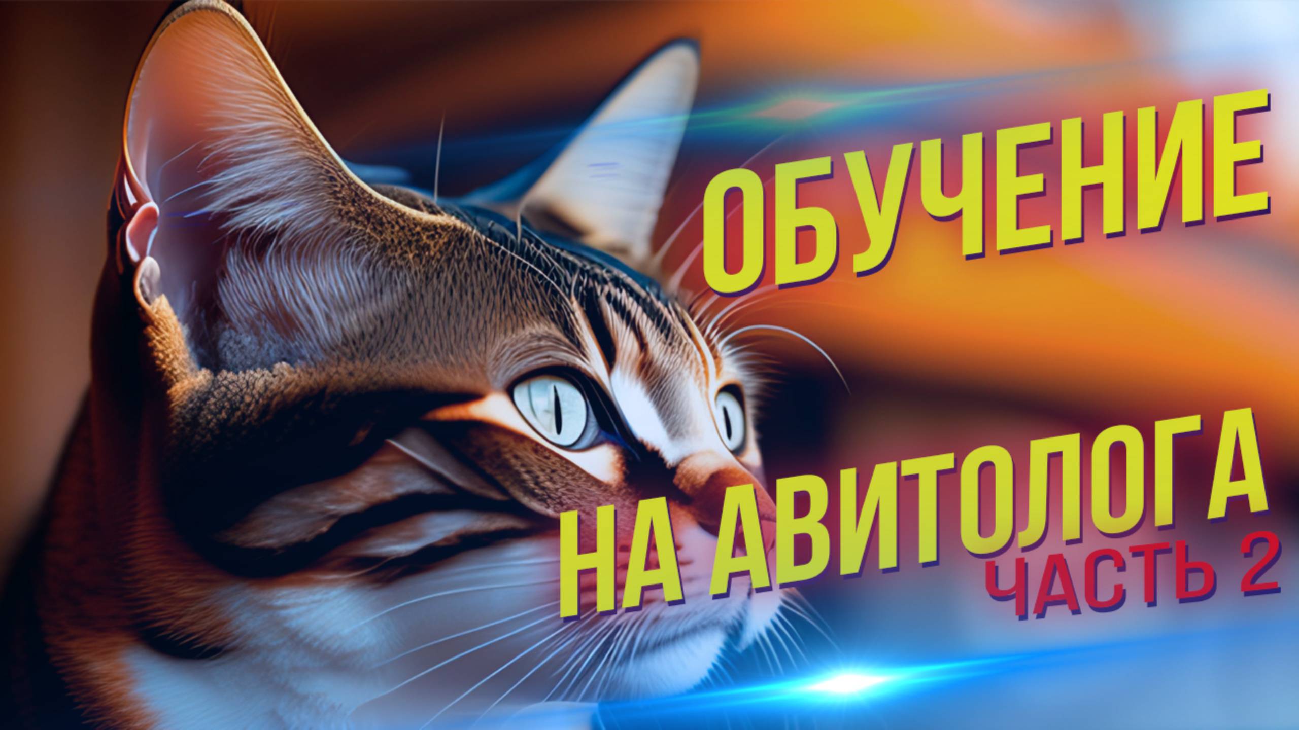 Хочу стать авитологом! С чего начать и где учиться? ЧАСТЬ 2