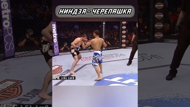 НИНДЗЯ-ЧЕРЕПАШКА В UFC 🐢 Самый маленький боец