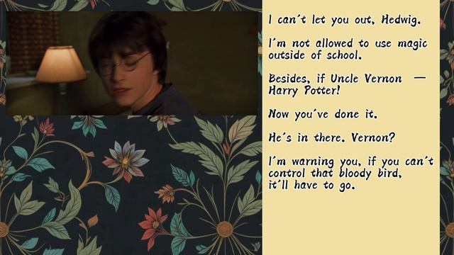 Shadowing Harry Potter and the Chamber of Secrets