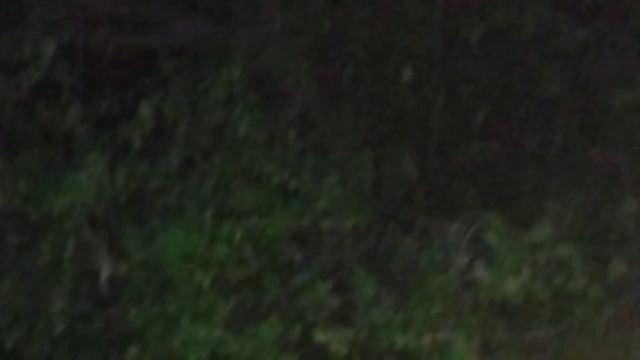 виновка( для Стаса и Андрея)       Стас и Андрей топ #юмор