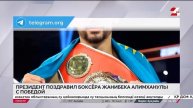 Глава государства поздравил боксера Жанибека Алимхан