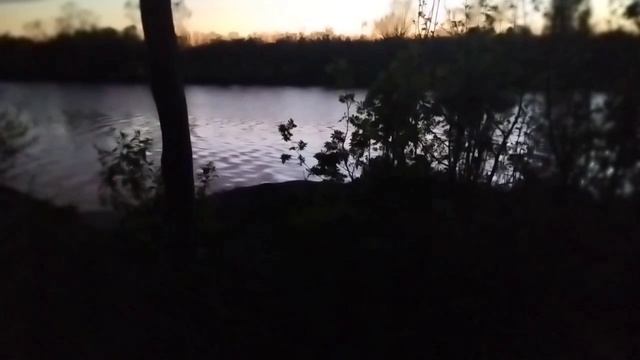 Вечернее пение птиц и шум реки. 🏞️🐦⬛🐦