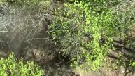 💥Уничтожение живой силы в Сумском приграничье