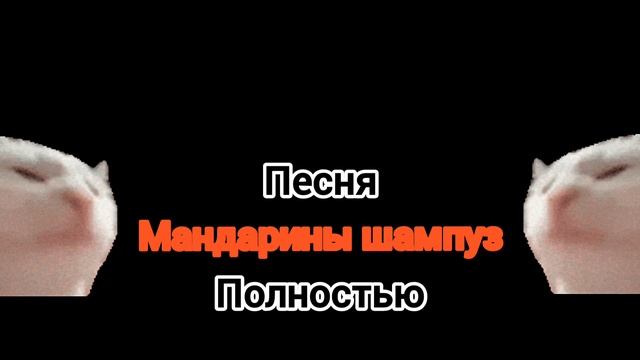 песня мандарины шампуз полностью