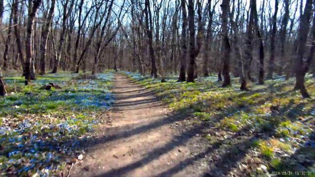 Подьем по лесу горы Машук, Пятигорск