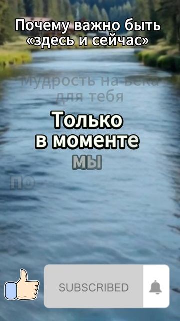Почему важно быть «здесь и сейчас»?