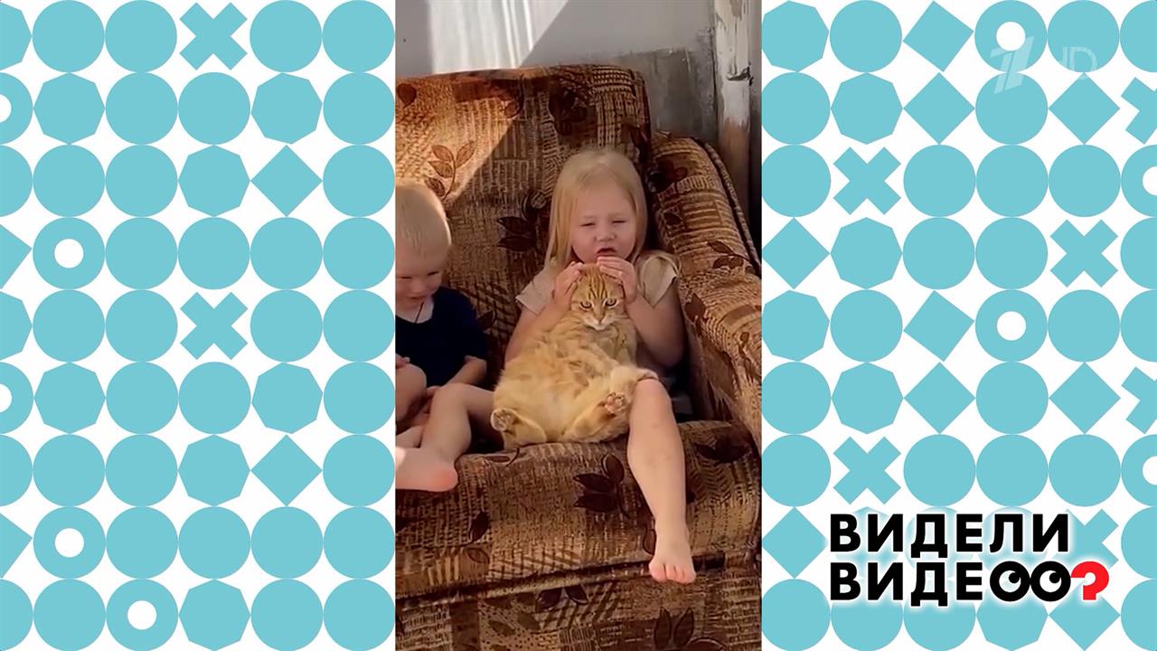 Кот Персик. Видели видео? Фрагмент выпуска от 18.05.2025