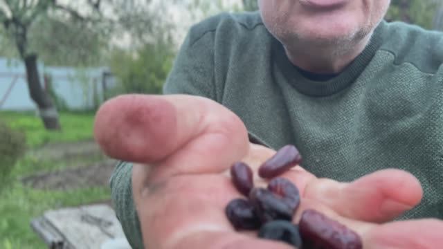 На бобах не пропадешь!