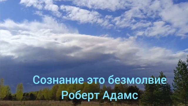 Сознание это безмолвие Роберт Адамс